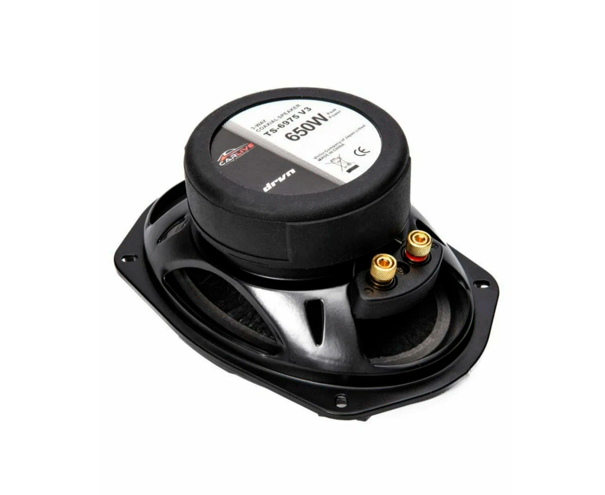 Sabvufer Pioneer TS-A6975V3