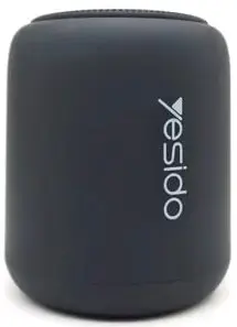 Portativ dinamik Yesido YSW06