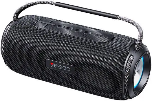 Portativ dinamik Yesido YSW11