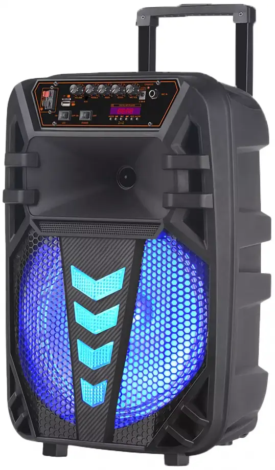 Portativ dinamik NDR-W1012