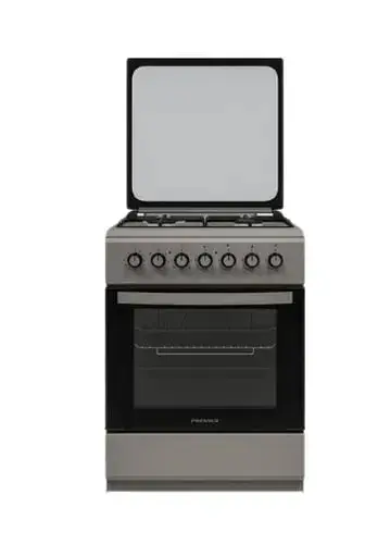 Кухонная плита PREMIER PRM-G6031/MS2-INS