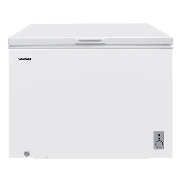 Морозильник Goodwell GW CF400 W2 White