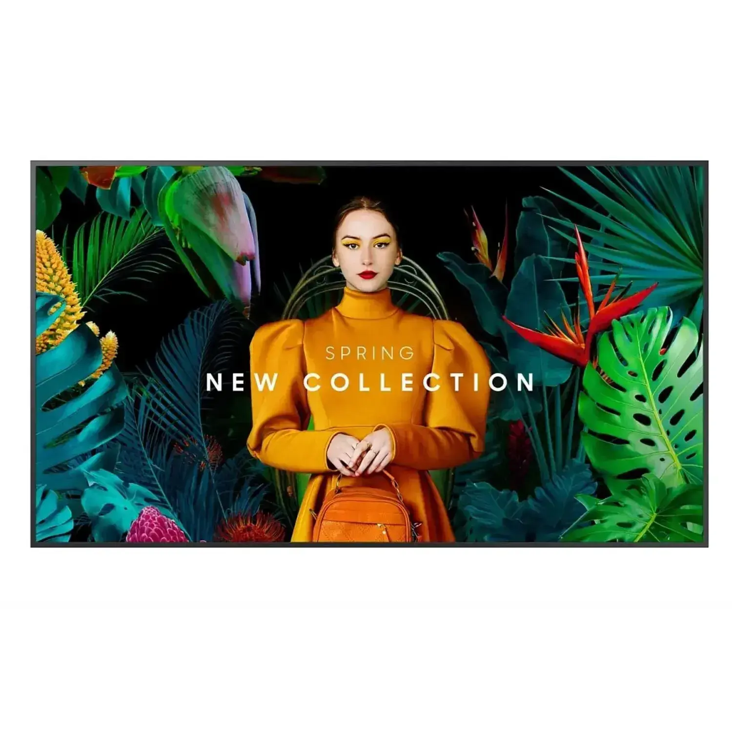 Профессиональный экран Standalone QBC 65