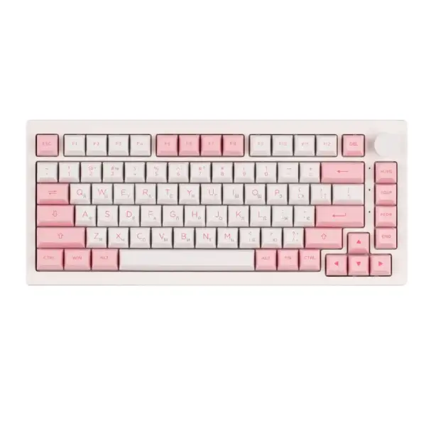 Клавиатура AKKO 5075B RGB Plus Prunus Lannesiana [CS Silver]