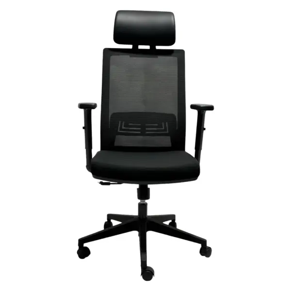 Ofis kreslosi CHAIRMAN 2905A2-L Black
