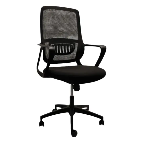 Ofis kreslosi CHAIRMAN 2005B, Black