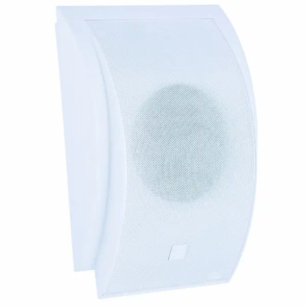 Динамик настенный 15W WS-06