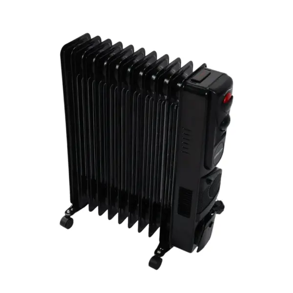 Isitgich ARSHIA dubay, Black, 11