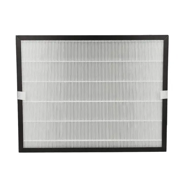 Havo tozalagich uchun filtr Delonghi DLSA006