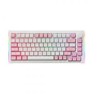 Клавиатура AKKO 5075B RGB Plus Prunus Lannesiana [CS Silver]