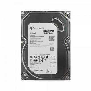 Seagate SkyHawk 3.5" 6000GB qattiq diski