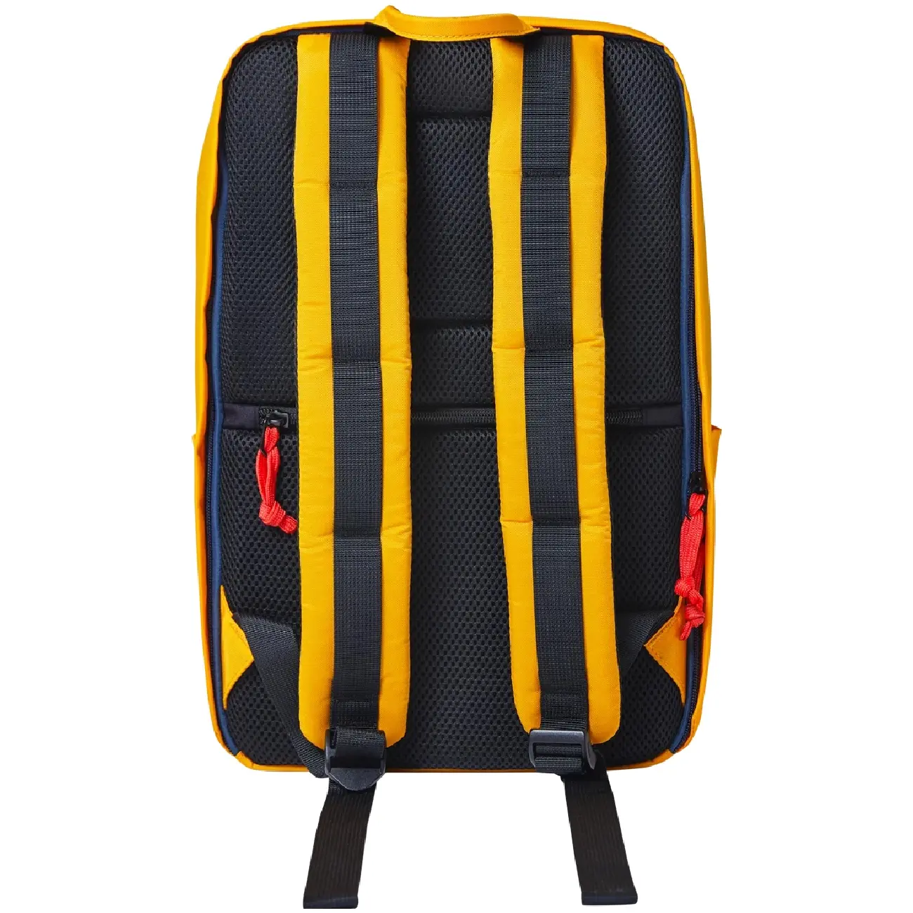 Рюкзак для ноутбука Canyon CNS-CSZ02YW01