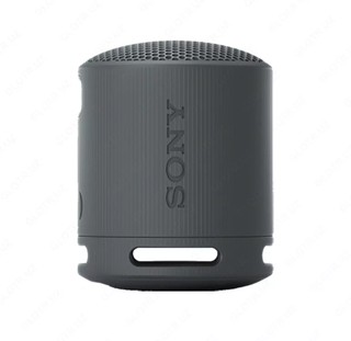 Портативная акустика SONY SRS-XB100