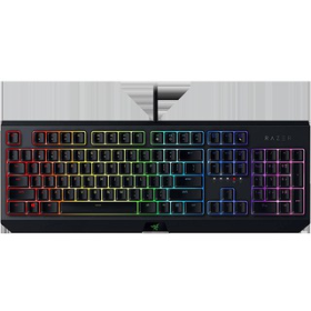 razer blackwidow (green switch)